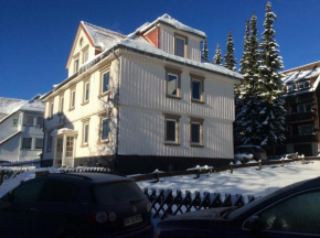  Apartment Leila  Ханенклее